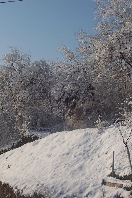 Panorama dalla casa