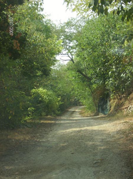 Panorama dalla casa